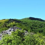 Alta Via dei Monti Liguri in Trekking – Tappa #16